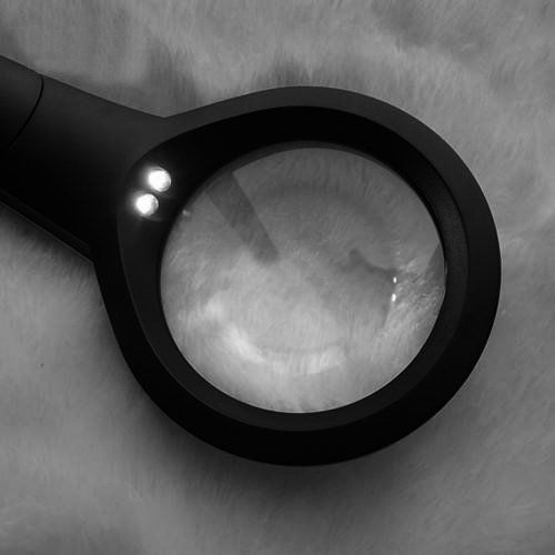 Лупа ручная круглая 6х-73мм для чтения с 
подсветкой (2 LED, черно-серебристая) G988-075 фото 3